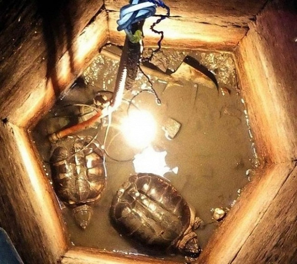 chuyện lạ, chuyện tâm linh kỳ lạ, chuyện lạ thế giới, kỳ quặc 