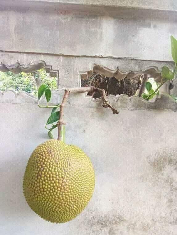 Của người phúc ta.