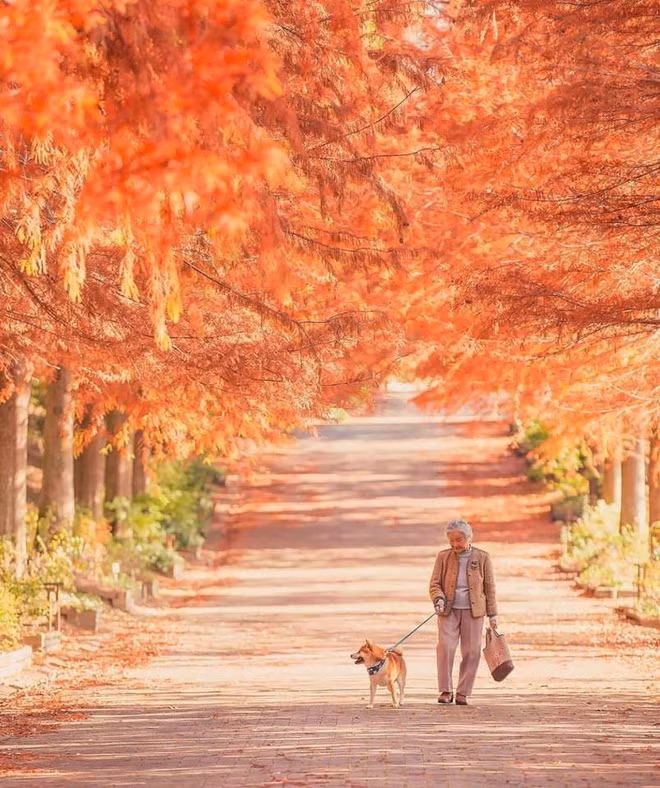 Bộ ảnh đầy cảm xúc của cụ bà Nhật Bản và chú cún con: Khi về già, chỉ cần một người đồng hành đáng yêu thế này thôi! - Ảnh 10.