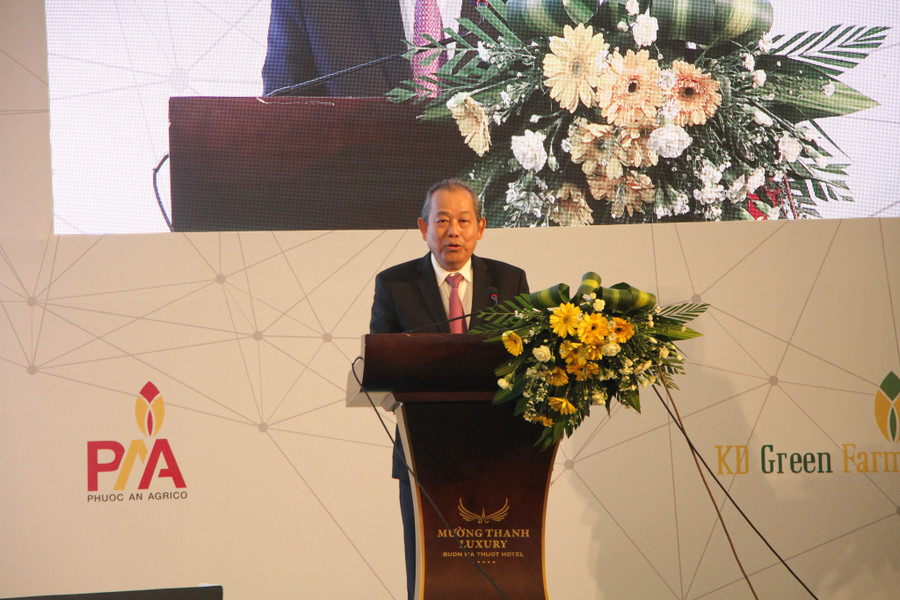 Phó Thủ tướng Trương Hòa Bình nhìn nhận thực tế Đắk Lắk là tỉnh khó khăn trong các lĩnh vực văn hóa, y tế, giáo dục. Phó Thủ tướng Trương Hòa Bình nhìn nhận thực tế Đắk Lắk là tỉnh khó khăn trong các lĩnh vực văn hóa, y tế, giáo dục.