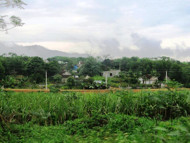 Một góc Làng Thanh niên lập nghiệp sông Chàng. Một góc Làng Thanh niên lập nghiệp sông Chàng.