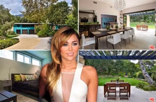 Loạt biệt thự triệu đô xa hoa của sao Hollywood hóa đống tro tàn sau vụ cháy ở bang California - Ảnh 8