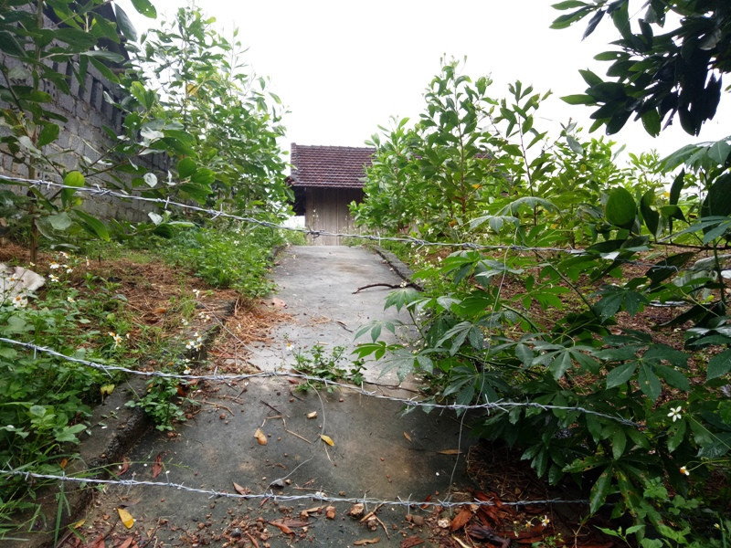 Chủ nhân ngôi nhà này không sinh sống ở đây nên dùng thép gai làm rào ngăn trâu, bò. Chủ nhân ngôi nhà này không sinh sống ở đây nên dùng thép gai làm rào ngăn trâu, bò.