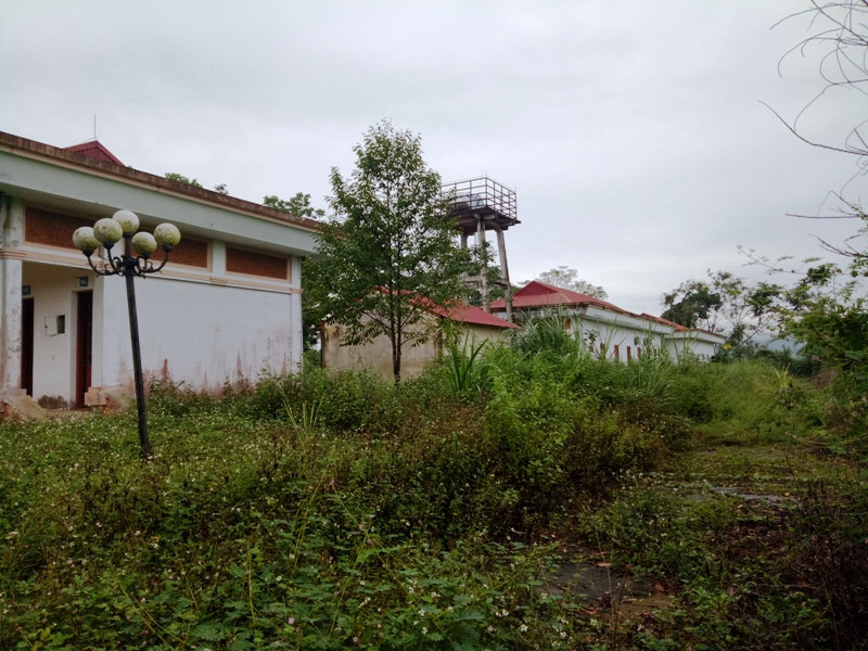 Do khu Trung tâm Làng Thanh niên lập nghiệp sông Chàng không có người chăm sóc nên cây dại đua nhau mọc um tùm. Do khu Trung tâm Làng Thanh niên lập nghiệp sông Chàng không có người chăm sóc nên cây dại đua nhau mọc um tùm.