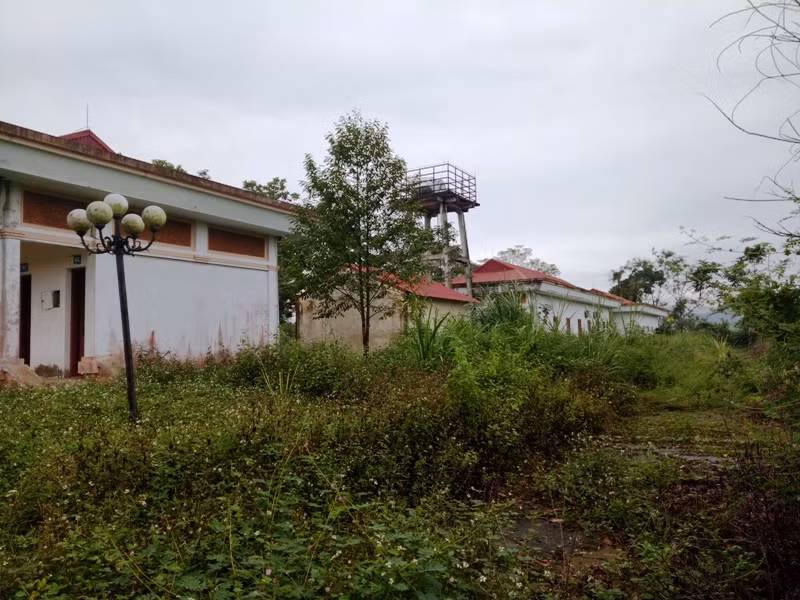 Do khu Trung tâm Làng Thanh niên lập nghiệp sông Chàng không có người chăm sóc nên cây dại đua nhau mọc um tùm.