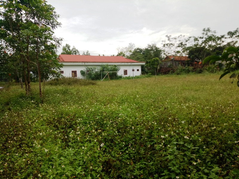 Cỏ dại mọc um tùm ở trong khuôn viên Trung tâm của Làng Thanh niên lập nghiệp sông Chàng. Cỏ dại mọc um tùm ở trong khuôn viên Trung tâm của Làng Thanh niên lập nghiệp sông Chàng.