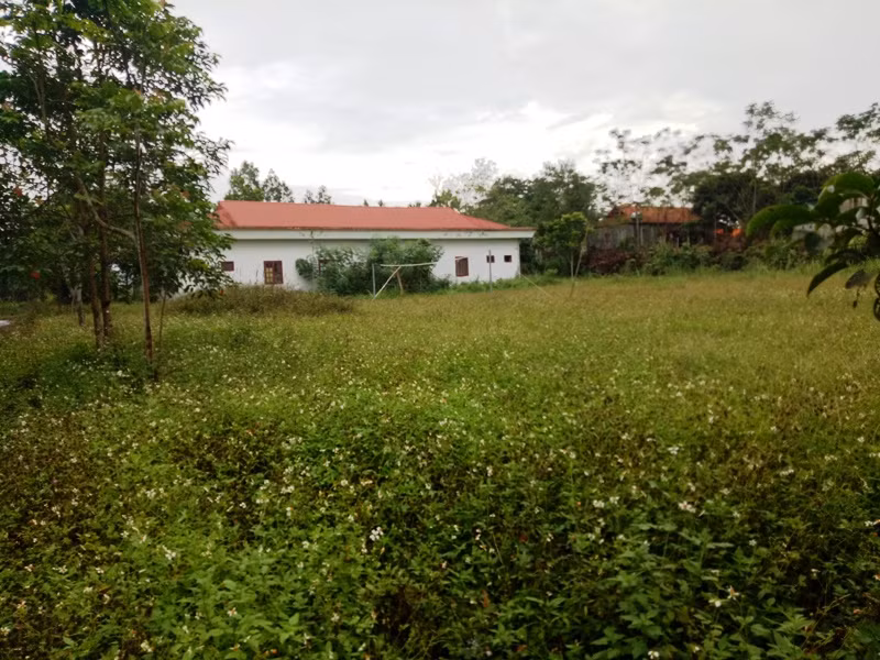 Cỏ dại mọc um tùm ở trong khuôn viên Trung tâm của Làng Thanh niên lập nghiệp sông Chàng.