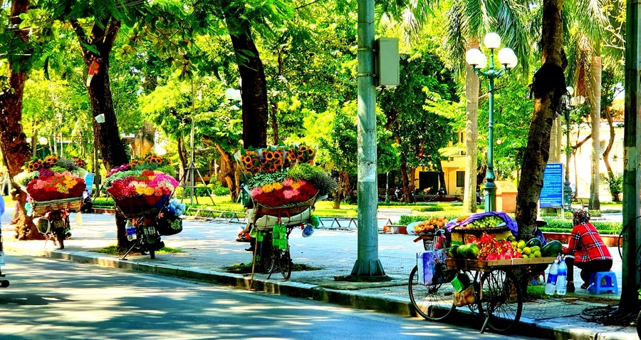 Mùa Thu là mùa của hoa, đi trên đường ta dễ dàng gặp các cô gái đem “mùa Thu” đi khắp các ngõ phố