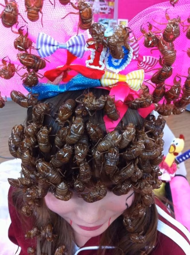 Những phát minh xem qua khiến bạn phải thốt lên chỉ có thể là Nhật Bản - Ảnh 16.