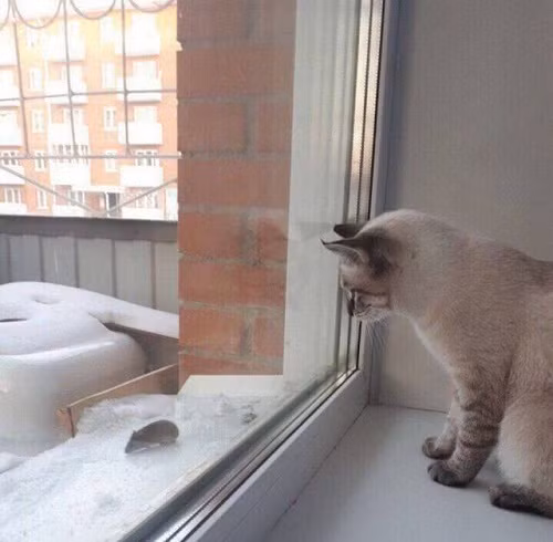 Gần trước mắt, xa tận chân trời.