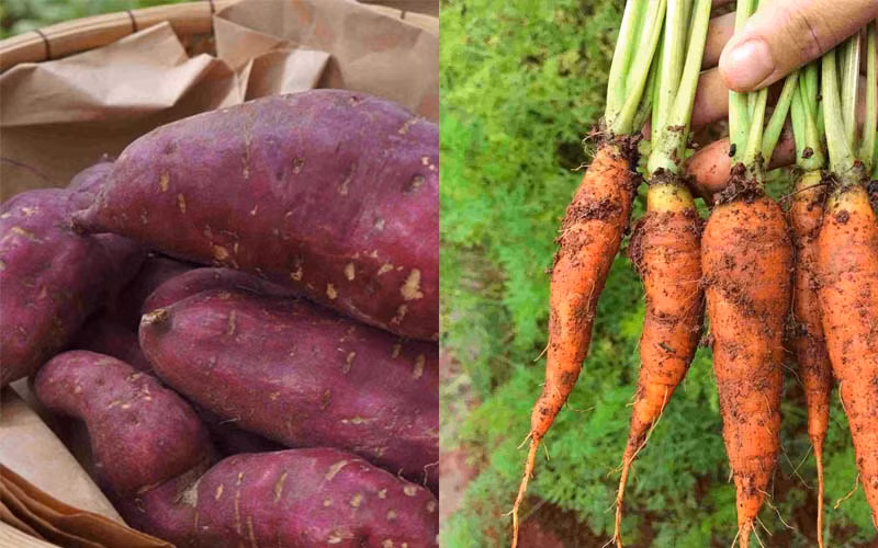 3 loại củ rẻ bèo giúp giải nhiệt mùa hè