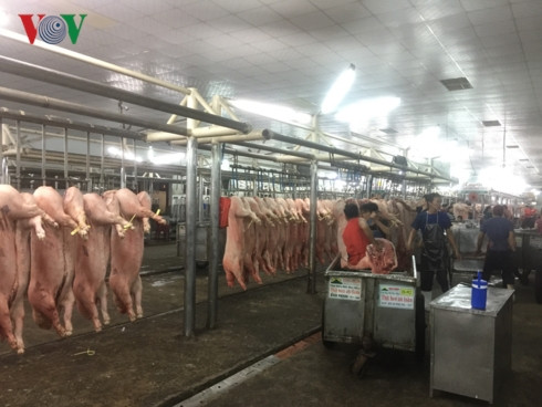 tết nguyên đán 2019: lo ngại thực phẩm bẩn vẫn đến bàn ăn hình 5 tet nguyen dan 2019: lo ngai thuc pham ban van den ban an hinh 5