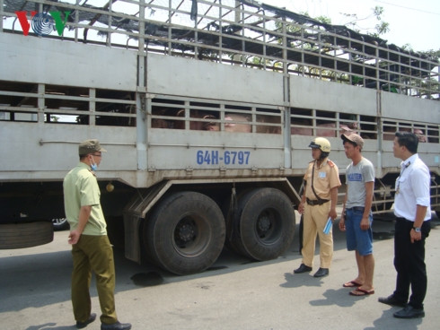 tết nguyên đán 2019: lo ngại thực phẩm bẩn vẫn đến bàn ăn hình 1 tet nguyen dan 2019: lo ngai thuc pham ban van den ban an hinh 1