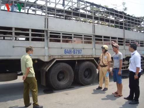 tet nguyen dan 2019: lo ngai thuc pham ban van den ban an hinh 1