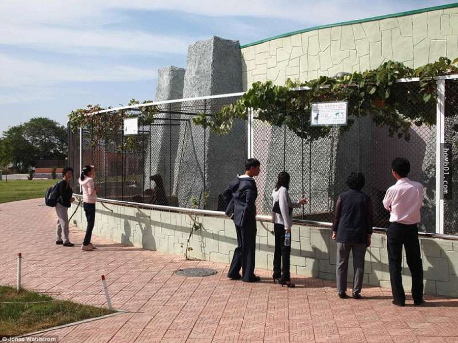 Vườn thú kỳ lạ ở Triều Tiên: Đười ươi biết hút thuốc, bên trong rất khác thường - Hình 7