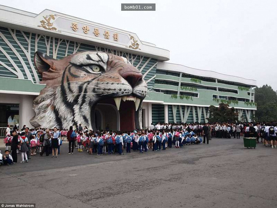 Vườn thú kỳ lạ ở Triều Tiên: Đười ươi biết hút thuốc, bên trong rất khác thường - Hình 1