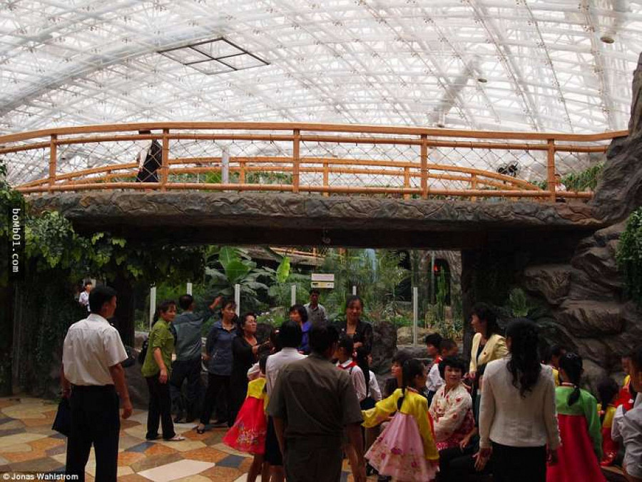 Vườn thú kỳ lạ ở Triều Tiên: Đười ươi biết hút thuốc, bên trong rất khác thường - Hình 3