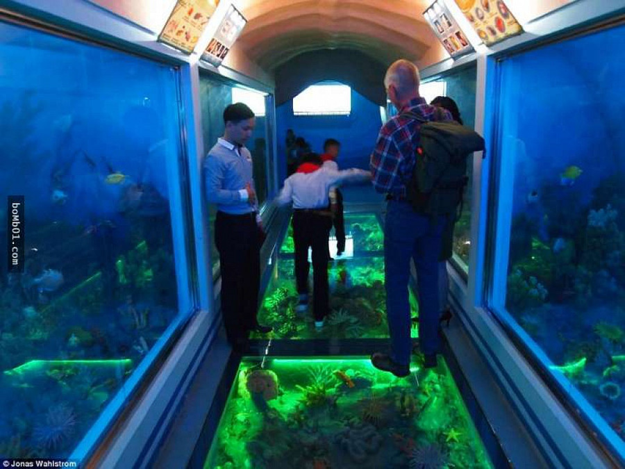 Vườn thú kỳ lạ ở Triều Tiên: Đười ươi biết hút thuốc, bên trong rất khác thường - Hình 11