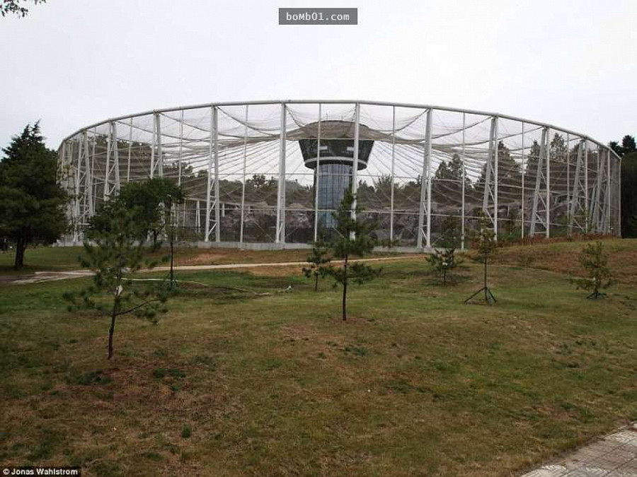 Vườn thú kỳ lạ ở Triều Tiên: Đười ươi biết hút thuốc, bên trong rất khác thường - Hình 17