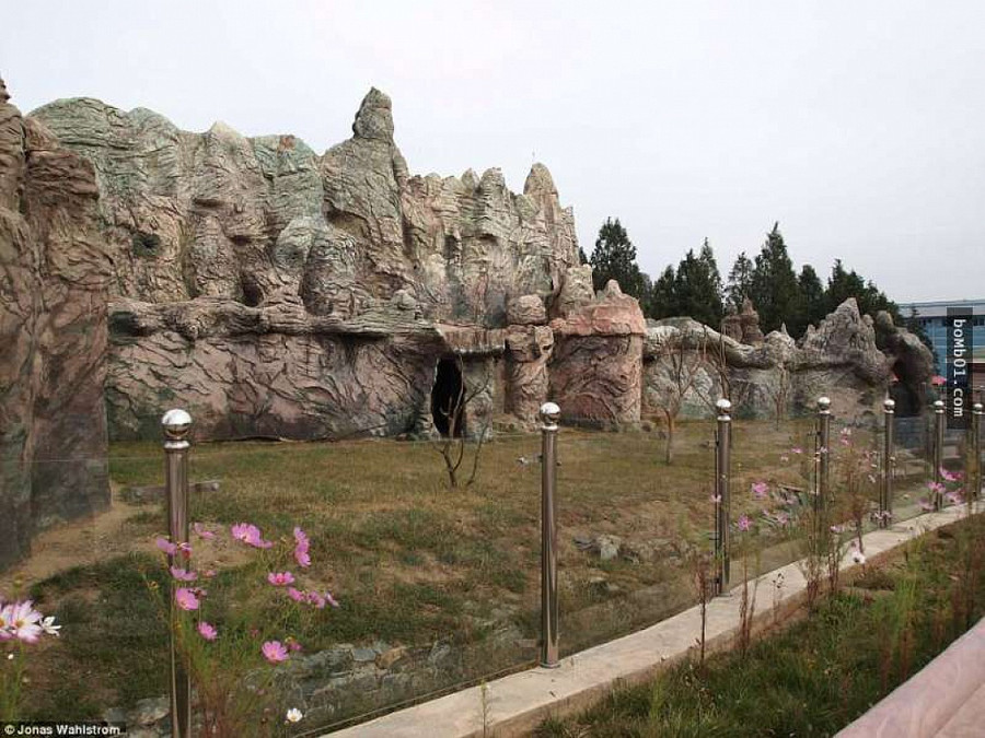 Vườn thú kỳ lạ ở Triều Tiên: Đười ươi biết hút thuốc, bên trong rất khác thường - Hình 13