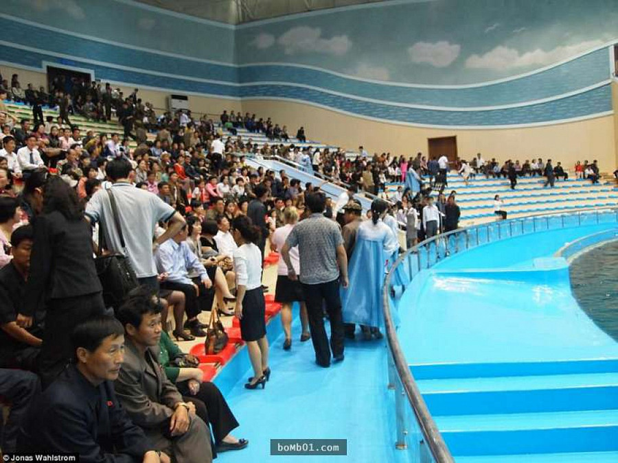 Vườn thú kỳ lạ ở Triều Tiên: Đười ươi biết hút thuốc, bên trong rất khác thường - Hình 6