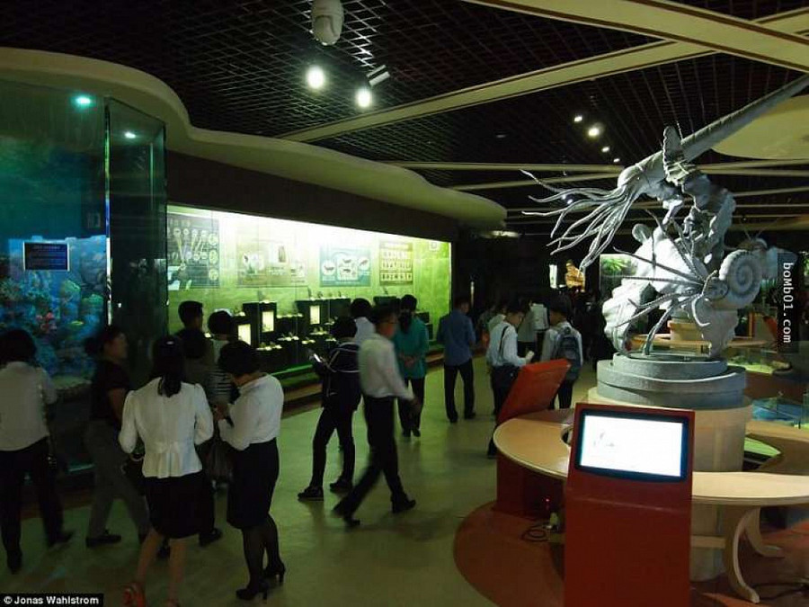 Vườn thú kỳ lạ ở Triều Tiên: Đười ươi biết hút thuốc, bên trong rất khác thường - Hình 12