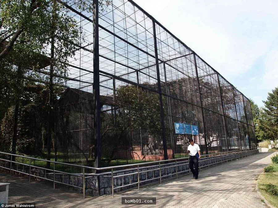 Vườn thú kỳ lạ ở Triều Tiên: Đười ươi biết hút thuốc, bên trong rất khác thường - Hình 10