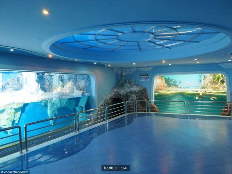 Vườn thú kỳ lạ ở Triều Tiên: Đười ươi biết hút thuốc, bên trong rất khác thường - Hình 21