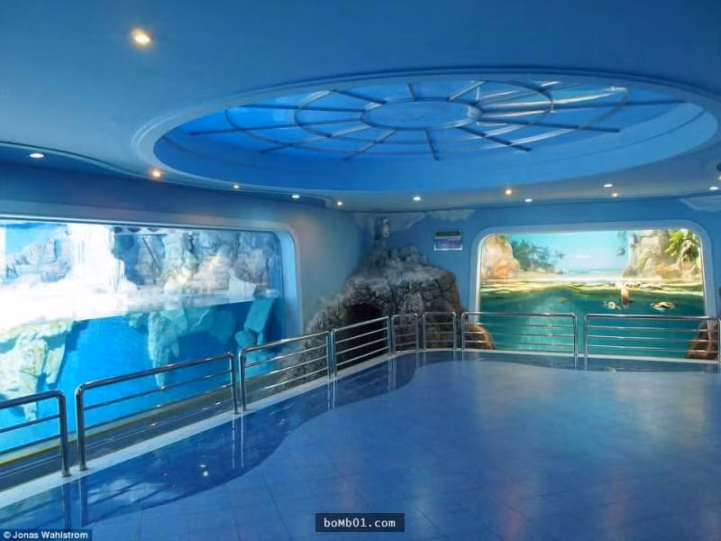 Vườn thú kỳ lạ ở Triều Tiên: Đười ươi biết hút thuốc, bên trong rất khác thường - Hình 21