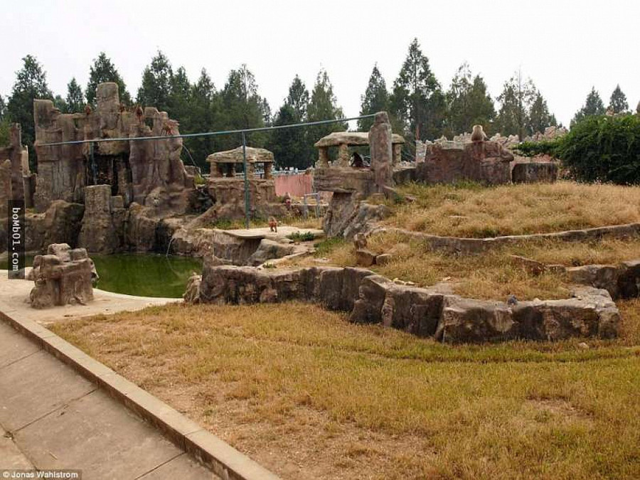 Vườn thú kỳ lạ ở Triều Tiên: Đười ươi biết hút thuốc, bên trong rất khác thường - Hình 20