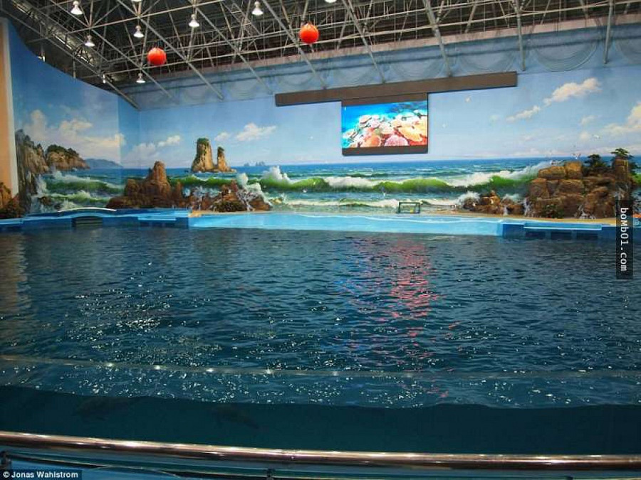 Vườn thú kỳ lạ ở Triều Tiên: Đười ươi biết hút thuốc, bên trong rất khác thường - Hình 5