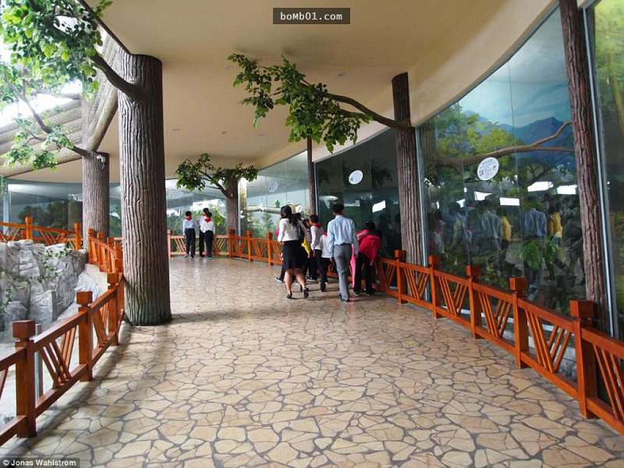 Vườn thú kỳ lạ ở Triều Tiên: Đười ươi biết hút thuốc, bên trong rất khác thường - Hình 8