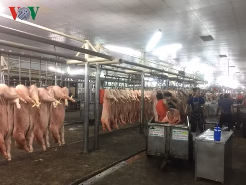 Tết Nguyên đán 2019: Lo ngại thực phẩm bẩn vẫn đến bàn ăn