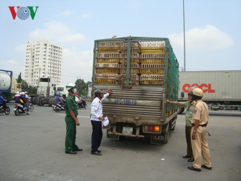 tết nguyên đán 2019: lo ngại thực phẩm bẩn vẫn đến bàn ăn hình 2 tet nguyen dan 2019: lo ngai thuc pham ban van den ban an hinh 2