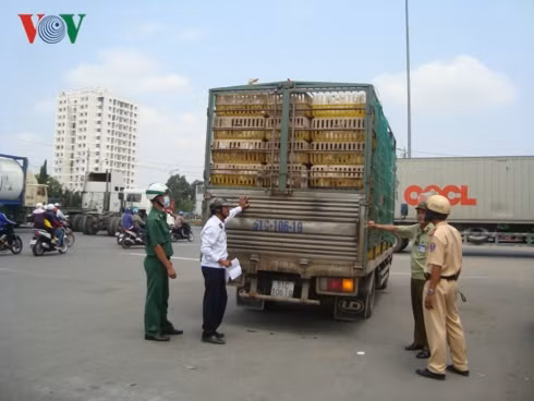 tet nguyen dan 2019: lo ngai thuc pham ban van den ban an hinh 2