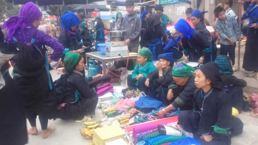 Viện Đại học Mở Hà Nội cùng Hà Giang bàn về sự phát triển bền vững