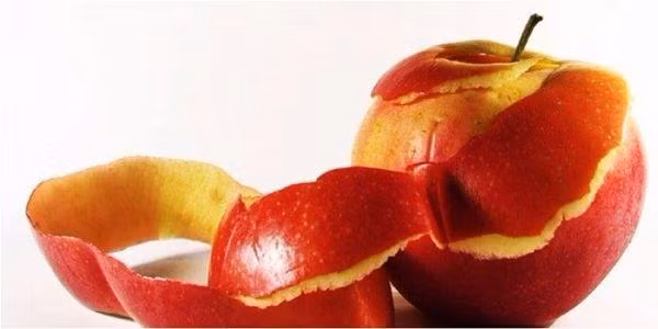 4 loai vo trai cay co tac dung dieu ki, chuyen gia noi: chi ai ngoc nghech moi vut di - 4