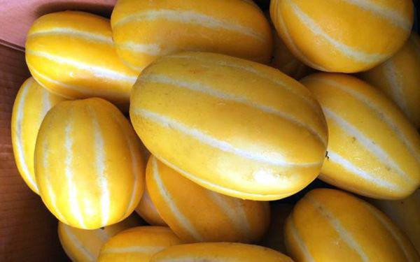 4 loại vỏ trái cây có tác dụng diệu kì, đừng vội vứt đi ảnh 5 4 loai vo trai cay co tac dung dieu ki, chuyen gia noi: chi ai ngoc nghech moi vut di - 5