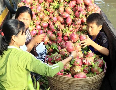 Nông sản Việt loay hoay tìm chỗ đứng