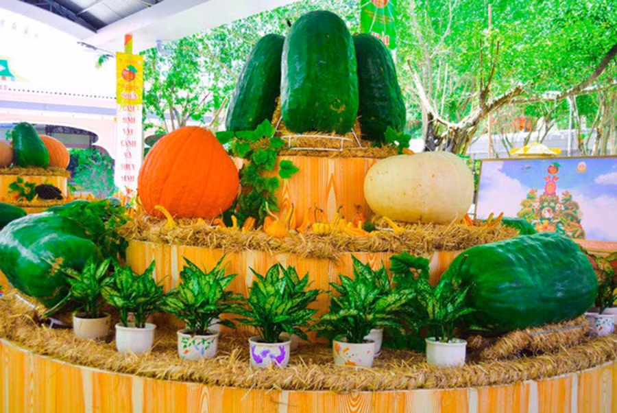 Bộ sưu tập trái cây khổng lồ.