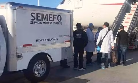 Tử vong trên máy bay vì nuốt 246 gói cocaine trong bụng ảnh 1