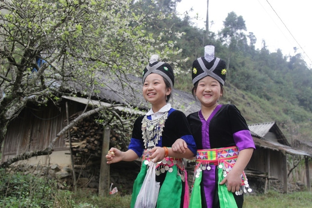 Đào mận đã trở thành loài cây đặc trưng của Mường Lống, là dấu hiệu của mùa xuân về, của tết, của lễ hội