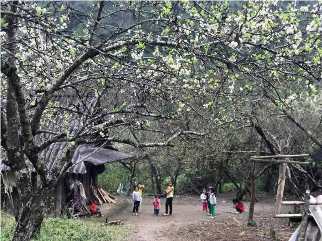 Những đứa trẻ chơi đùa trước sân nhà