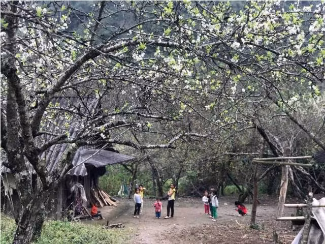 Những đứa trẻ chơi đùa trước sân nhà