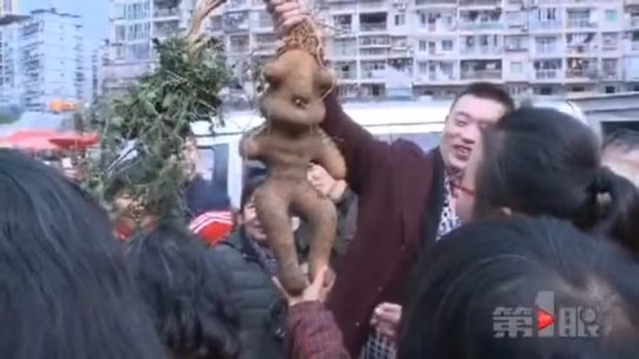 cu khoai khong lo hinh nguoi gay xon xao trung quoc hinh anh 1