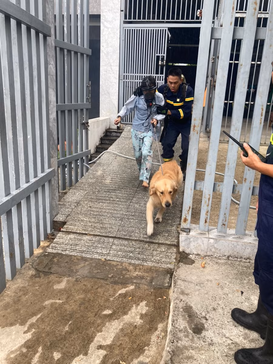 Cô gái được cảnh sát PCCC giải cứu ra ngoài.