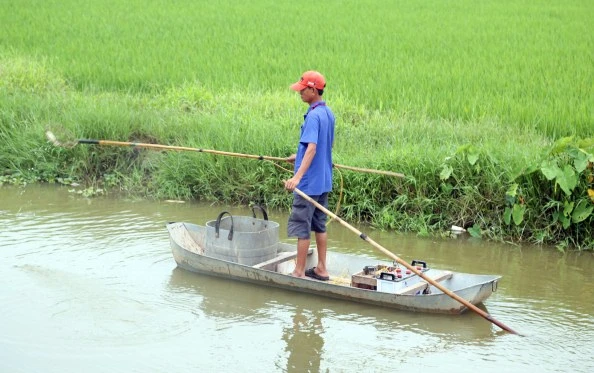 Người dân vô tư dùng kích điện để tận diệt thủy sinh (ảnh chụp ngày 14/8/2018 tại địa bàn thôn Thông, xã Nhân Mỹ, huyện Lý Nhân, Hà Nam)