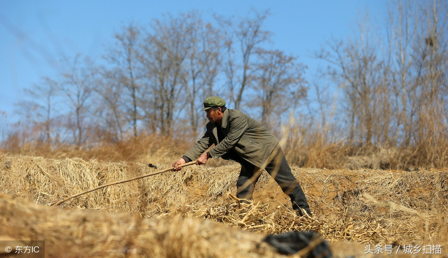 Ly hôn 3 năm, cụ ông về bên chăm sóc vợ cũ đau yếu 12 năm vì một lý do cảm động ảnh 6 Empty