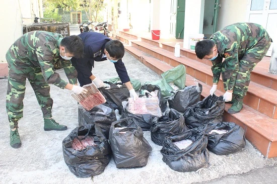 Nội tạng động vật đang phân hủy kịp thời được phát hiện và tiến hành tiêu hủy, ảnh: QTV