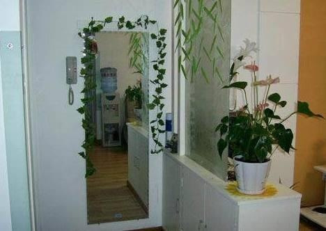 Nếu không muốn cuộc sống mãi nghèo thì đừng bao giờ để những thứ này ở ngoài cửa